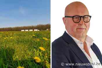 “Dit ruikt naar vriendjespolitiek”: raadslid hekelt maaibeheer