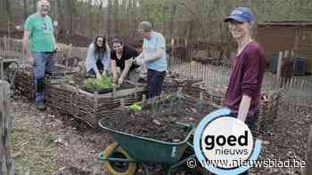 Vrijwilligers tuinieren samen in Kiewit: “Voor ons is dit een levenslang project”
