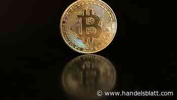 Kryptowährung: Bitcoin steigt auf höchsten Stand seit zwei Wochen