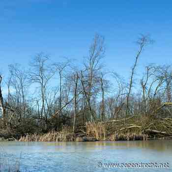 Een uur cultuur in de bibliotheek: 'Verhalen uit de Biesbosch'