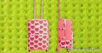 14 Best Carry-On Luggage (2024): Away, Travelpro, and More