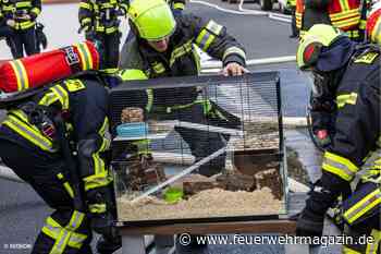Feuerwehr rettet Hamster