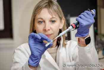 Marokkaanse variant van de mazelen aangetroffen in Brussels rioolwater: “Overal in Europa aan een opmars bezig”