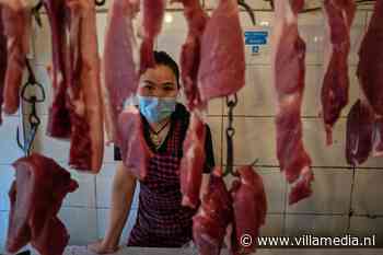 Opinie: 'Schrijven over coronalableks, prima. Maar pas op voor de populistische valkuil'