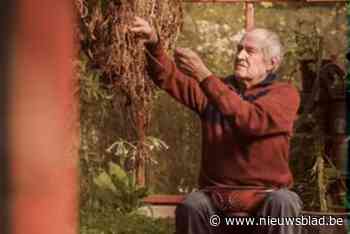 Kinderen treden op met zelfgemaakte liedjes over dorpsgeschiedenis en brengen ode aan Albert Patteet