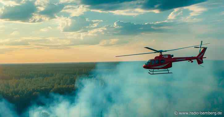 Zeugen nach Waldbrand im Landkreis Forchheim gesucht