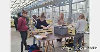 Samenzaai biobloemen: "Een fleurige en kleurrijke toekomst die groeit in onze serres"