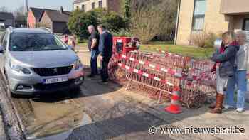 Kraters in wegdek teisteren Hornszee in Genk: "Is een gat gedicht, dan volgt het andere”