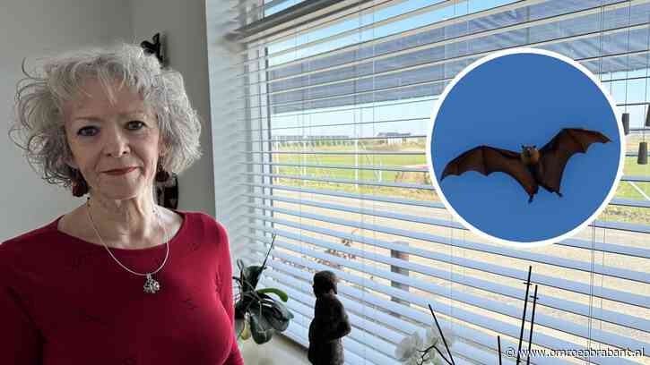 Vleermuisschermen verzieken Sandra’s uitzicht: ‘Net een gevangenis’