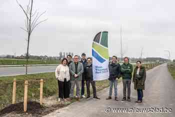 Stad gaat ook deze legislatuur voor 100.000 extra bomen: “Een nog grotere uitdaging”