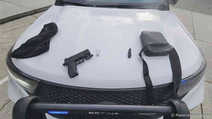 RCMP seize pellet guns from youth near Mission fair, arrest 16-year-old male