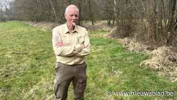 Zoerselbos wordt 27,4 hectare groter: “Moet Kempense hotspot van biodiversiteit worden”