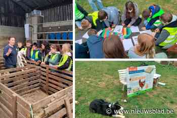 Bijna tweehonderd kinderen proeven van de landbouwwereld tijdens ‘boerendagen’ in Rillaar: “Dit is heel belangrijk”