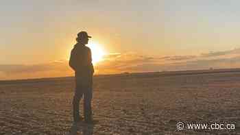 These farmers want cost of living, cutting taxes and tariffs to be the focus this election. Here's why