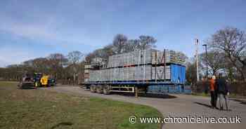 Workers arrive at Town Moor as Newcastle United trophy party preparations begin