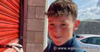 Teenager died after buying an off-road bike with defective brakes