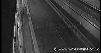 Man found on M4 after 'paedophile sting' died from multiple injuries