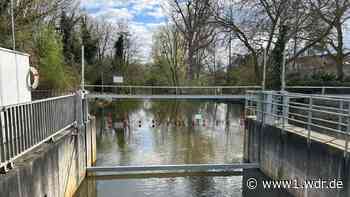 Erftverband testet Rettungsbalken