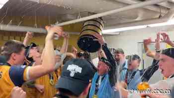 Underdog Brandon Bobcats win men's volleyball title for 1st time, upsetting defending Alberta champs