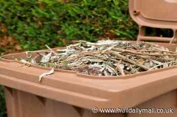 New weekly brown bin collections in Hull approved