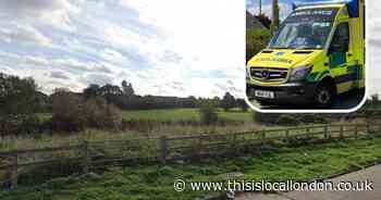 Woman in hospital after being bitten by dog in Collier Row park