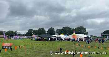 Merton branded 'borough of booze' over bid to sell drink in busy park from 9am