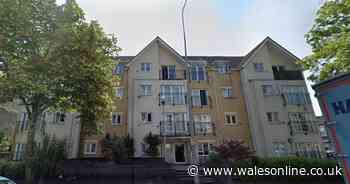 Man's body found in Cardiff city centre flat