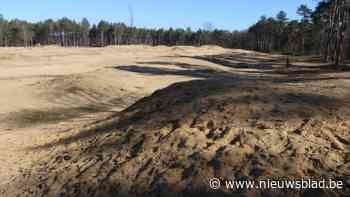 Molenheide krijgt meer duinlandschappen: “Meer beleving en grotere biodiversiteit”