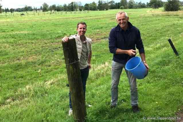 Protest tegen zonnepanelenpark van acht voetbalvelden groot: “Leg eerst de daken vol voordat je open ruimte gaat inpalmen”