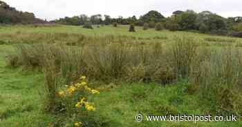 Fury as Yew Tree Farm and crematorium decision taken behind closed doors