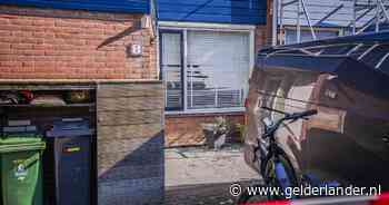 Advocaat van gewelddadige Elstenaar mag extra getuigen horen in zaak mishandeling buurman