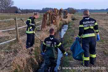 Wasser mit Gülle verunreinigt