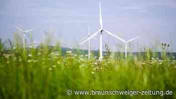 Überraschung: Gifhorn für Windräder im Stadtgebiet – freiwillig