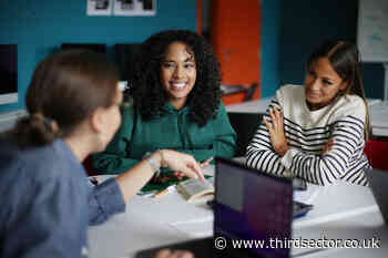 Museums to benefit from young trustee programme