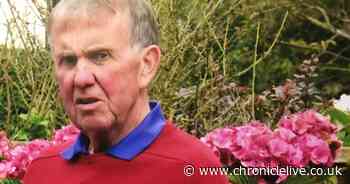 Pensioner died after prolonged attack by cows in Northumberland, inquest told