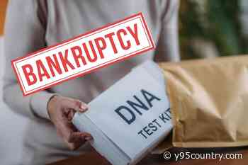 Ancestry Service Files for Bankruptcy; Is Your Data At Risk?