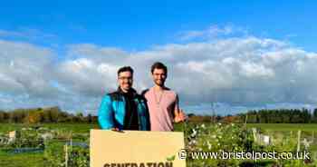 Bristol’s urban farm revolution how locals are growing their own food