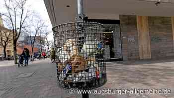 Müll in öffentlichen Abfallkörben nimmt deutlich zu