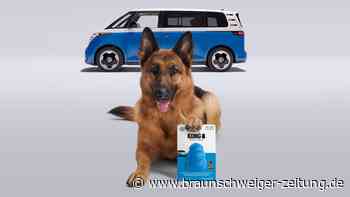 VW, der ID.Buzz und ein Deutscher Schäferhund namens Fritz