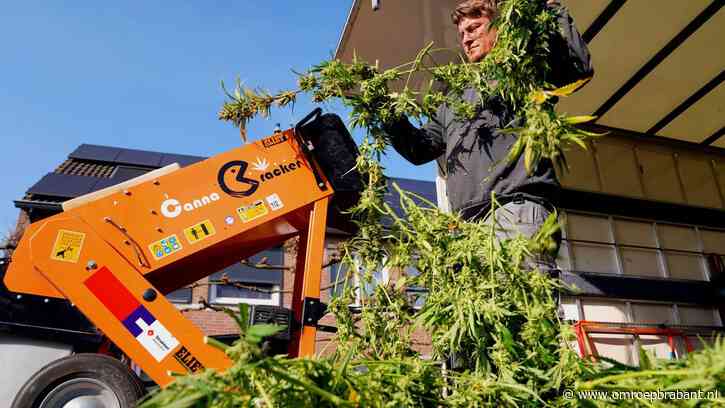 Hennepkwekerij met ruim 1000 planten ontdekt, bewoner aangehouden