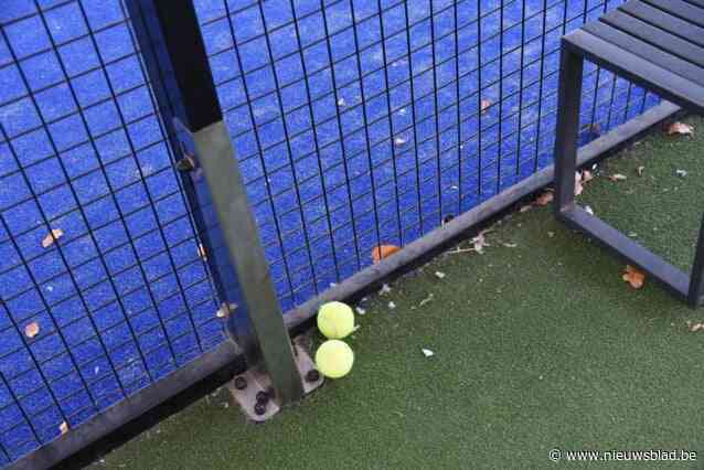 Open dag in TC Bosterhout met tennis- en padelinitiaties voor alle leeftijden