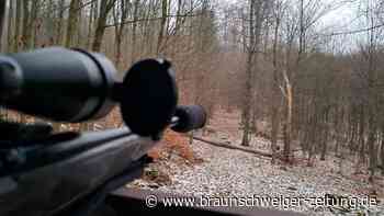 Jagd im Harz: Wird hier Tierleid billigend in Kauf genommen?