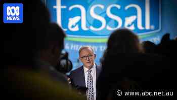 Environmental laws set to be scaled back in parliament's final days to save salmon jobs