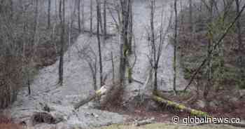 Heavy rain triggers landslide in Port Coquitlam as atmospheric river moved in