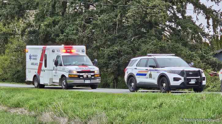 Mission 5-year-old girl hospitalized after overdosing on fentanyl: RCMP