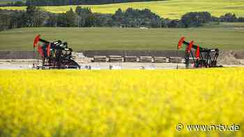 100 Prozent auf Rapsöl: Kanada klagt gegen Chinas Agrar- und Fischerei-Zölle