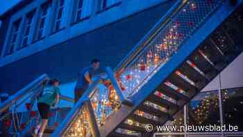 700 lopers en wandelaars steunen Miles for Melis