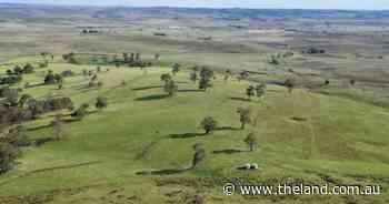 Clovelly: Top quality, highly arable grazing country to auction April 15