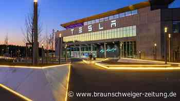 Tesla-Versammlung in Grünheide eskaliert – „Beruhigt euch!“