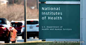 ‘Caos y confusión’ en los Institutos Nacionales de la Salud en Estados Unidos